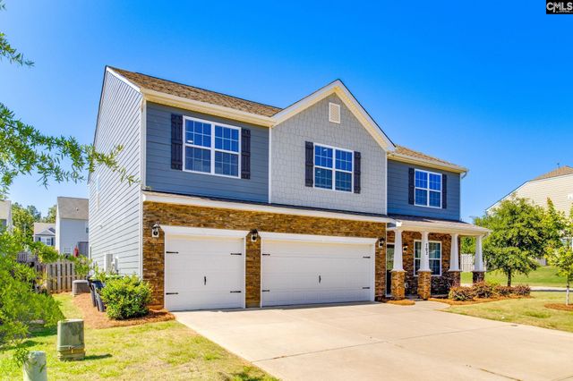 702 Autumn Shiloh Drive, Chapin, SC 29036