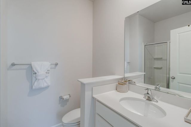 702 Autumn Shiloh Drive, Chapin, SC 29036