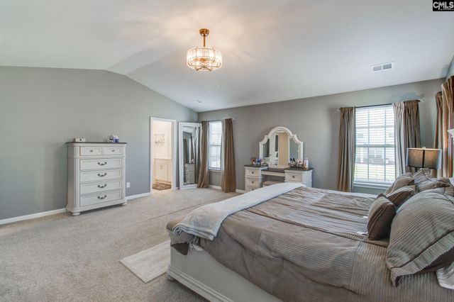 702 Autumn Shiloh Drive, Chapin, SC 29036