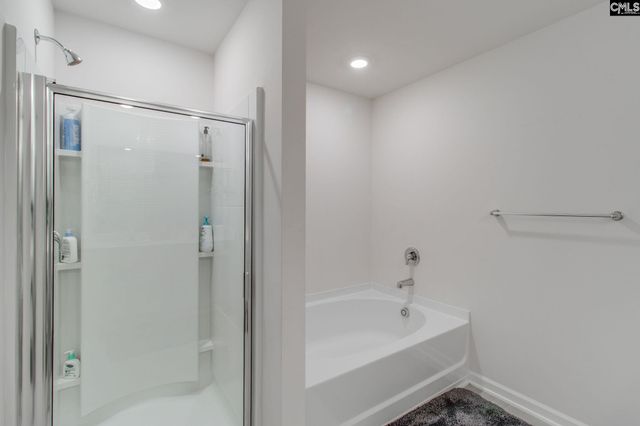 702 Autumn Shiloh Drive, Chapin, SC 29036