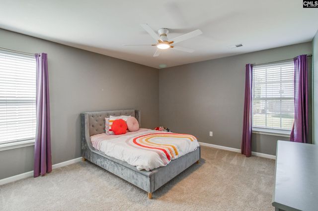 702 Autumn Shiloh Drive, Chapin, SC 29036