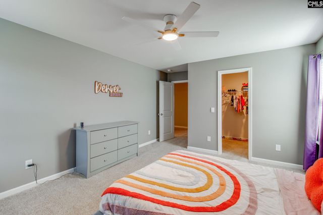 702 Autumn Shiloh Drive, Chapin, SC 29036