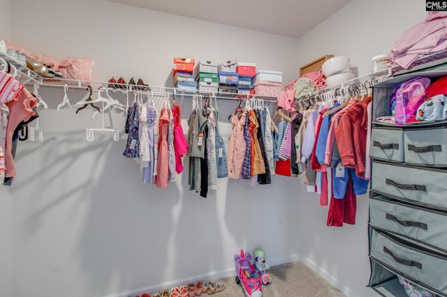 702 Autumn Shiloh Drive, Chapin, SC 29036
