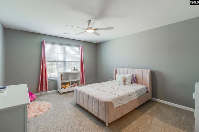 702 Autumn Shiloh Drive, Chapin, SC 29036