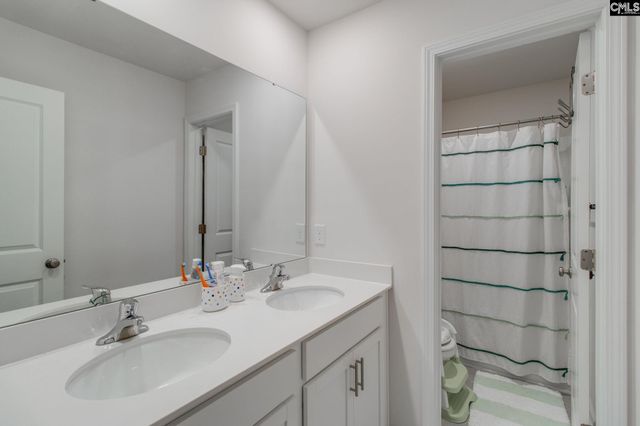 702 Autumn Shiloh Drive, Chapin, SC 29036