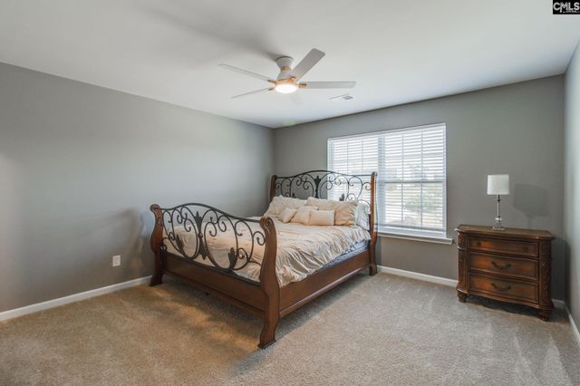 702 Autumn Shiloh Drive, Chapin, SC 29036
