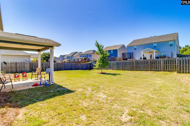 702 Autumn Shiloh Drive, Chapin, SC 29036