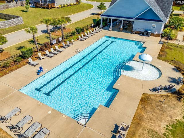 702 Autumn Shiloh Drive, Chapin, SC 29036