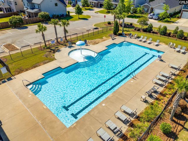 702 Autumn Shiloh Drive, Chapin, SC 29036