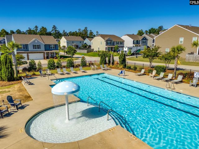 702 Autumn Shiloh Drive, Chapin, SC 29036