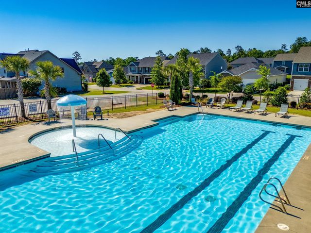 702 Autumn Shiloh Drive, Chapin, SC 29036