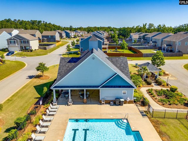 702 Autumn Shiloh Drive, Chapin, SC 29036