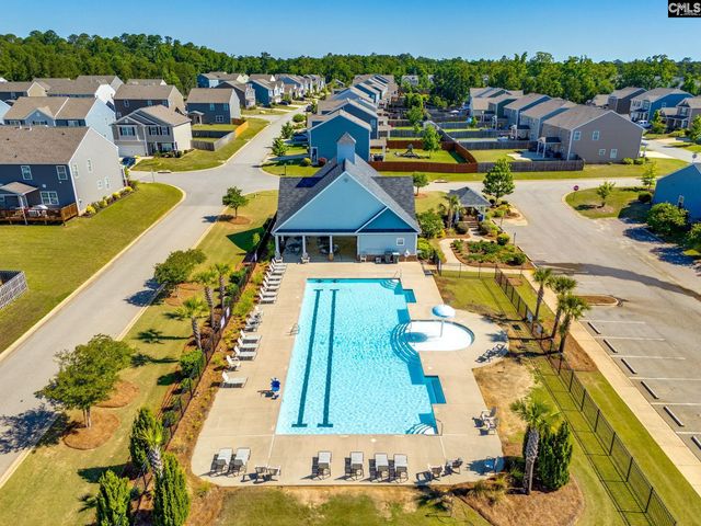 702 Autumn Shiloh Drive, Chapin, SC 29036