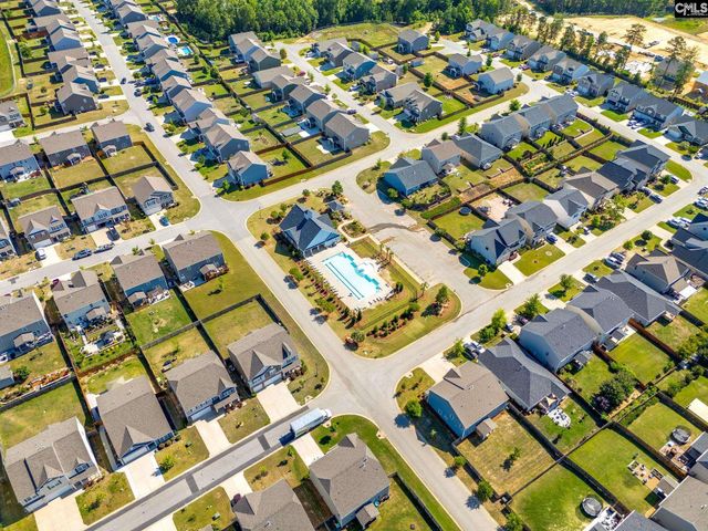 702 Autumn Shiloh Drive, Chapin, SC 29036