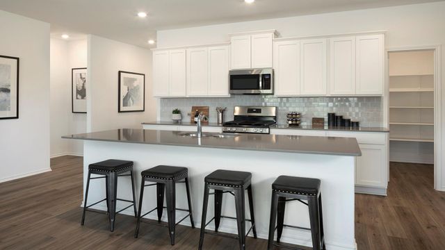17821 Orchard Oriel WAY, Pflugerville, TX 78660