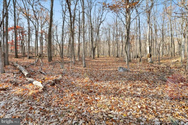 23851 SQUIRREL RIDGE DR, Rawlings, MD 21557