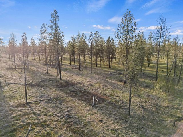 17212 S Brooks Rd, Cheney, WA 99004