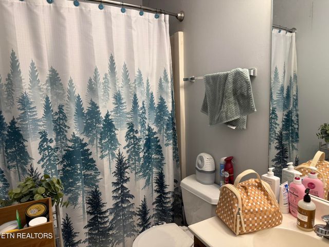 320 Chilhowee School Rd, Seymour, TN 37865