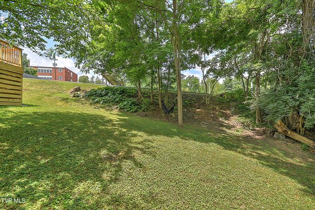 165 Hughes Street, Bristol, VA 24201