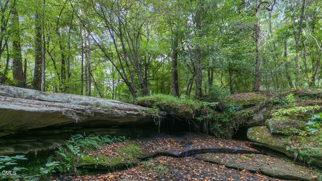 413 Falls Bluff Drive, Wake Forest, NC 27587