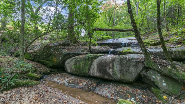 413 Falls Bluff Drive, Wake Forest, NC 27587