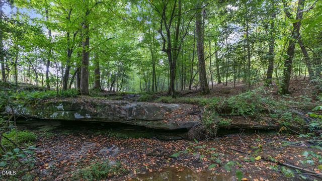 413 Falls Bluff Drive, Wake Forest, NC 27587