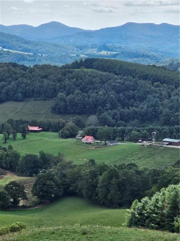4793 Cheek Mountain Road, Laurel Springs, NC 28644