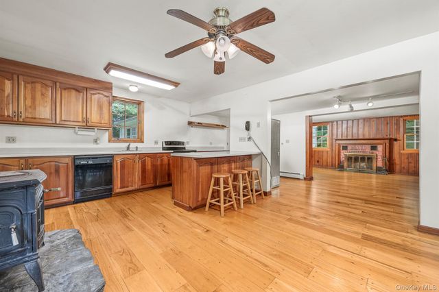 174 County Route 11, Pine Plains, NY 12567