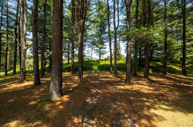 174 County Route 11, Pine Plains, NY 12567