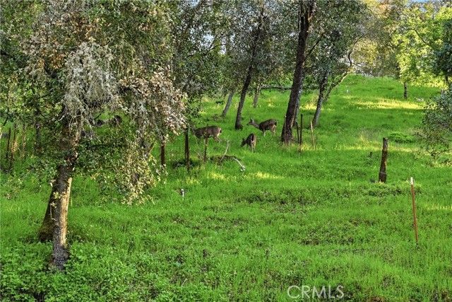 3398 Ogden Road, Lucerne, CA 95458