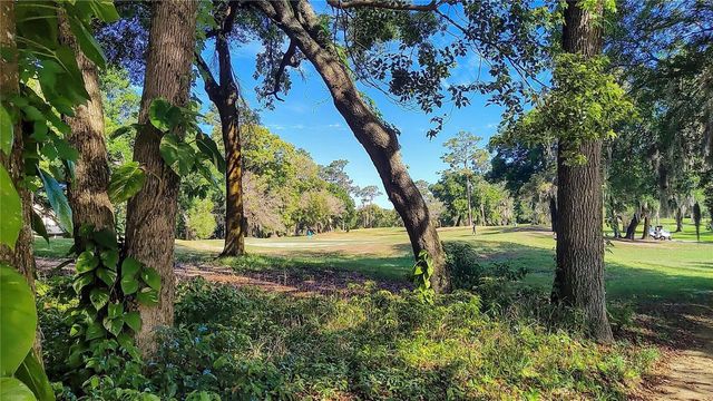 171 BIRCHMONT DRIVE, Deland, FL 32724
