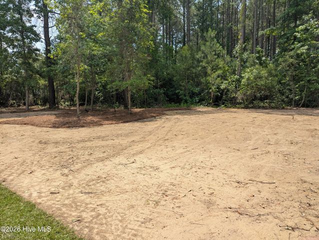 423 Vineyard Trace, Currie, NC 28435