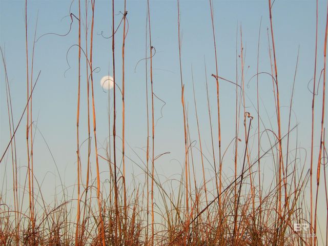 1380 State Highway 180 105, Gulf Shores, AL 36542