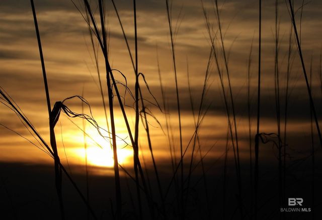 1380 State Highway 180 105, Gulf Shores, AL 36542