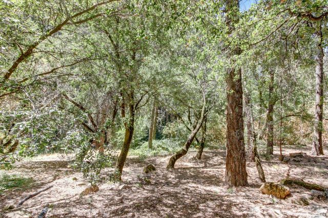 1900 Peaceful Valley Rd, Colfax, CA 95713