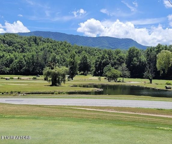 725 Sunshine Tr, Gatlinburg, TN 37738
