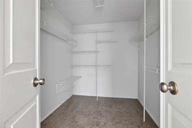 1513 PINEY BRANCH CIRCLE, Valrico, FL 33594