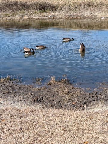 9980 SE 176TH STREET, Summerfield, FL 34491