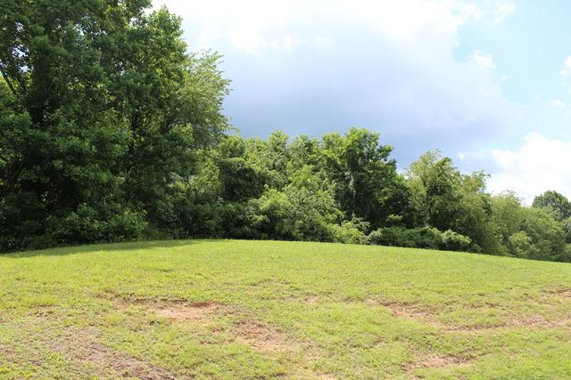 Lot 134A Mountain Harbour Drive, Hayesville, NC 28904