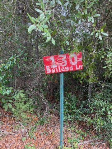 286 Stacy Wiggins Drive, Livingston, TX 77351