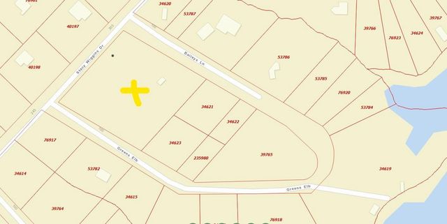 286 Stacy Wiggins Drive, Livingston, TX 77351