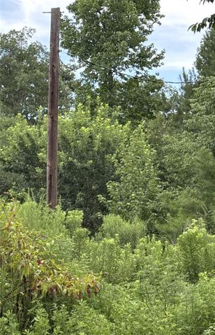 286 Stacy Wiggins Drive, Livingston, TX 77351