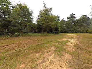 286 Stacy Wiggins Drive, Livingston, TX 77351