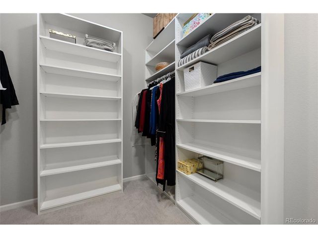 3597 New Haven Cir, Castle Rock, CO 80109