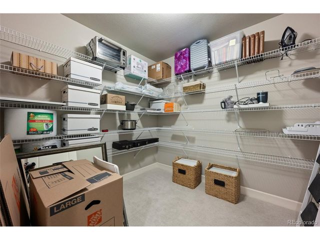 3597 New Haven Cir, Castle Rock, CO 80109