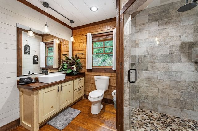 215 Twin Creeks, Blue Ridge, GA 30513