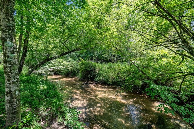 215 Twin Creeks, Blue Ridge, GA 30513