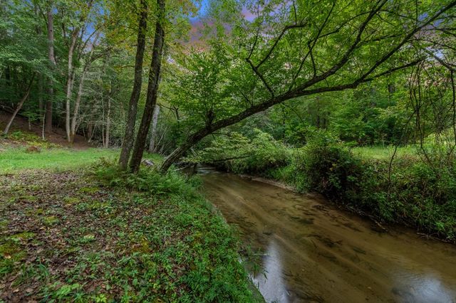 215 Twin Creeks, Blue Ridge, GA 30513