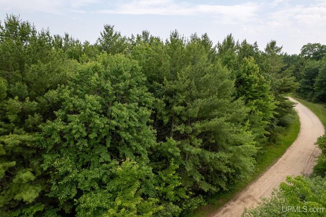 TBD R.75 Lane, Rapid River, MI 49878