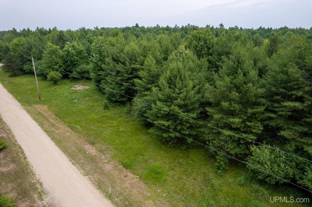 TBD R.75 Lane, Rapid River, MI 49878